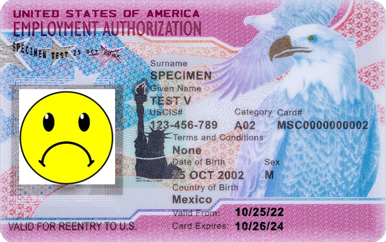 A New E-Verify Alert: What Employers Must Know About Terminated Work Permits